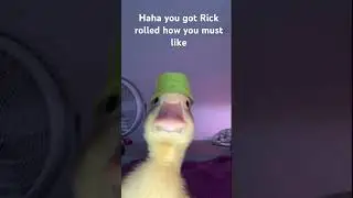 You got Rick-Rolled #memes #og #rickroll