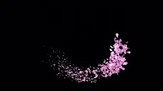 pink flower petals overlay effect free download | black screen effect flowers