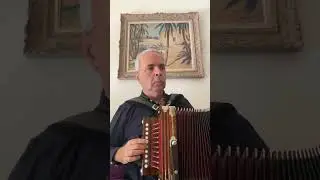 N. Lygeros: Reel de la Guenille variation. (Cajun Accordion Martin). #lygeros #music #cajun