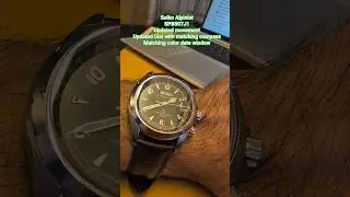 The new #Seiko #Alpinist #SPB507J1. best watch under USD 1000