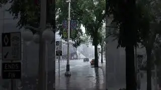 Walk in Heavy Rain Downtown Ottawa, Canada #rain #walk #ottawa #canada #shorts