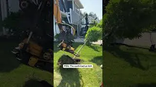 Tree Digging: POV: The Earth Had An Itch, We Scratched It