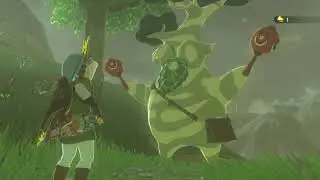 Making some room to grow! Lets Play Legend of Zelda, Breath of the Wild, Ep 11