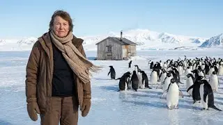 92-Year-Old Grandma Surviving Alone in Antarctica | Penguins Live Beside Her Cabin