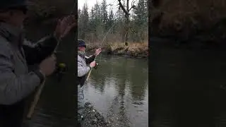 Guides day off fishing for steelhead on the Situk