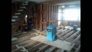 Mold Remediation NJ / Thorough & Affordable Mold Remediation NJ / Mold in Your Home?