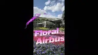 DUBAI MIRACLE GARDEN SHORTS