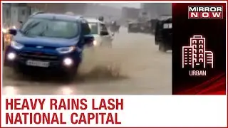 Delhi Rains: School wall collapses in South Delhi; Several vehicles damaged, no injuries reported