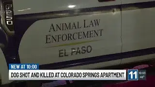 Dog shot, killed after biting people at Colorado Springs apartment, police say