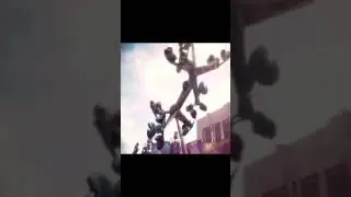 Rides That Went Too Far