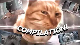 Mr. Fresh And Friends ULTIMATE COMPILATION!
