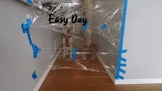 My Dogs React To The Invisible Challenge