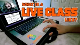 What Does a Live Class at PA Virtual Look Like?