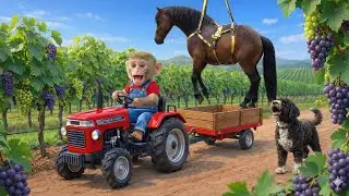 Monkey Mita Harvests Grape and Saves a Lusitano Horse Thanks to a Smart Dog │monkey life