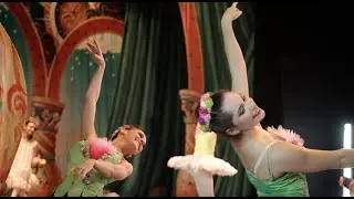 Behind the curtains of the Nutcracker of Middle Georgia