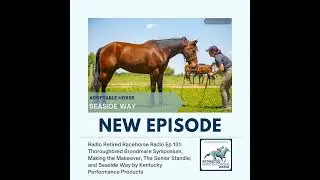 TB Broodmares, Making the Makeover, The Senior Standie, and Seaside Way by Kentucky Performance P...