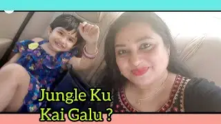 ଜଙ୍ଗଲ Re Kuade Jaithile Dekhantu 🧿 || Odia daily life blog || ameli chameli odisha Vlogger