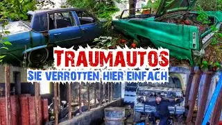 CADILLACS BIS ZUM ABWINKEN