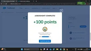 Build a Data Model for a Travel Approval App --- create an expense item object trailhead challenge