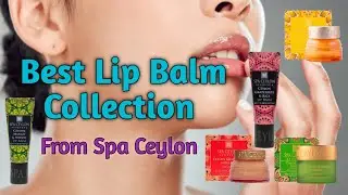 Best Lip Balms Collection 💗💋 | Spa Ceylon Lip Balm Collection  #lipbalmreview  #lipbalmcollection