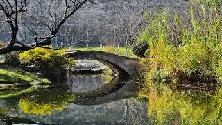 雞鳴寺,南京城牆,音樂台,靈谷塔