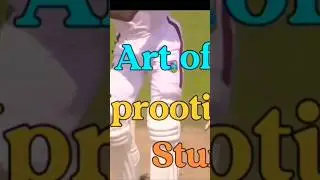 Art of flying stumps 🗿#cricket #bowling #stumpsandbails #shiortfeed #shorts #viralshorts #kohli