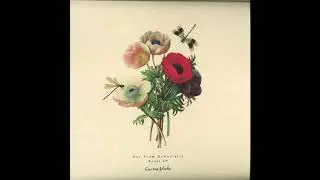 Guy From Downstairs - Rodul