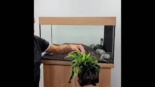 Juwel Rio 125 set up in 1 minute