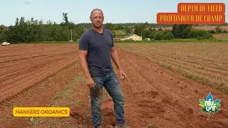 Hakkers Organics - Depth of Field | Profondeur de champ