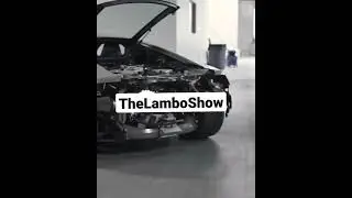 Lamborghini Roar