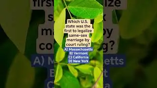 Which U.S. state was the first to legalize same-sex marriage by court ruling?