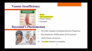AANP & ANCC Exam Prep