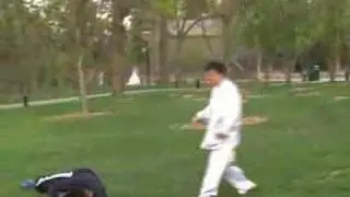 Twentieth Inheritor of Chen Style Taiji pushhand2