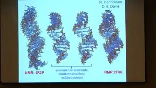 Using Ensembles of Molecular Dynamics Simulations to Give Insight into Biomolecular Structure...