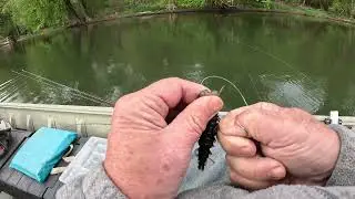 Rigging the NIKKO 4.25 Hellgrammite