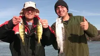 Catching Yellow Perch and White Perch using Live Bait - With a Bonus Trout