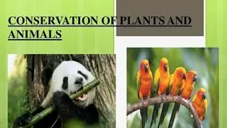 Extinct Species, Consevartion of plants & animals
