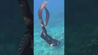 Free diving in the Caribbean ocean #ocean #freediving #diving #adventure