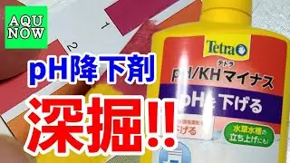 【水質】アクアリウム用pH降下剤テトラｐＨ／KHマイナス!!0％リン酸成分！塩酸硫酸成分でカリウム添加によるpH上昇対策と飼育水アルカリサイドの悩みを解決！
