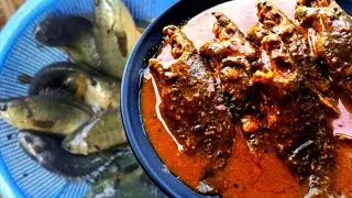 Bengali Famous Recipe || Tel Koi || Koi Fish #trending #viral #food #reels #telkoirecipe #koifish