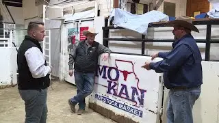 Missouri cattle industry veteran says president's Argentina beef import plan an 'insult'