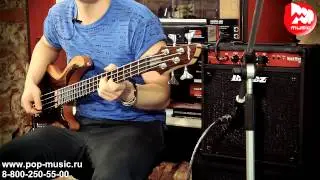 IBANEZ SW15