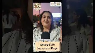 save indian dogs  Ahmedabad  #streetdogs #saveindiandogs #ahmedabad #yt #savedogs #shorts #dog #dogs