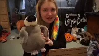 Stuffed Plushies Unboxing! (Tie Dye Snake, Penguin & Llama)