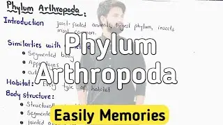 General Characteristics Of Phylum Arthropoda