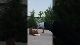 #dogtraning #uzbekistan #кинологи #малинуа #интересно #собаки #komediya #популярное #топ #люб