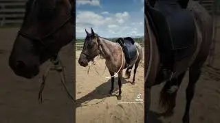it hits different when you raise them 🥰😭 #horsemanship #coltstarting #traininghorses