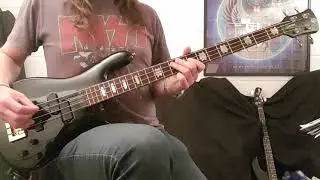 Danger Danger - 'Naughty Naughty' Bass Cover - Bruno Ravel - Spector