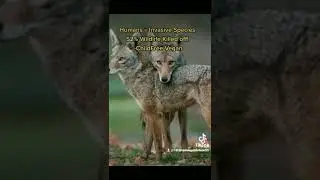 OVER-POPULATION 🌎 Not Myth Debunk with Facts Share Earth Human Supremacists