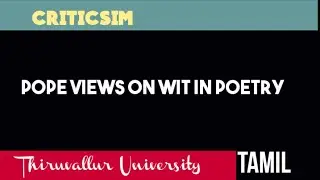 pope views on wit in poetry